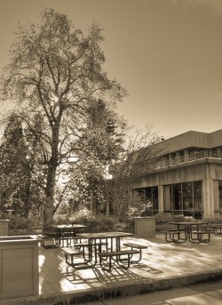 Campusphoto