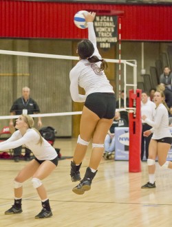 volleyball
