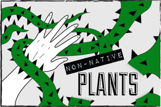 plants!