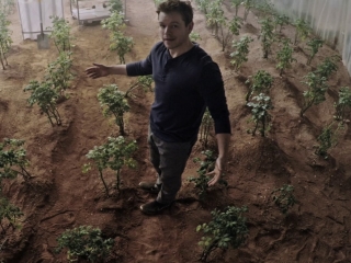 Damon as Mark Watney showing how well his potato garden is doing. A garden he engineered using his own feces, Mars soil, a contraption he created to make H2O, and the center of his bunker.