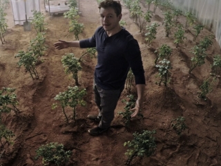 Damon as Mark Watney showing how well his potato garden is doing. A garden he engineered using his own feces, Mars soil, a contraption he created to make H2O, and the center of his bunker.