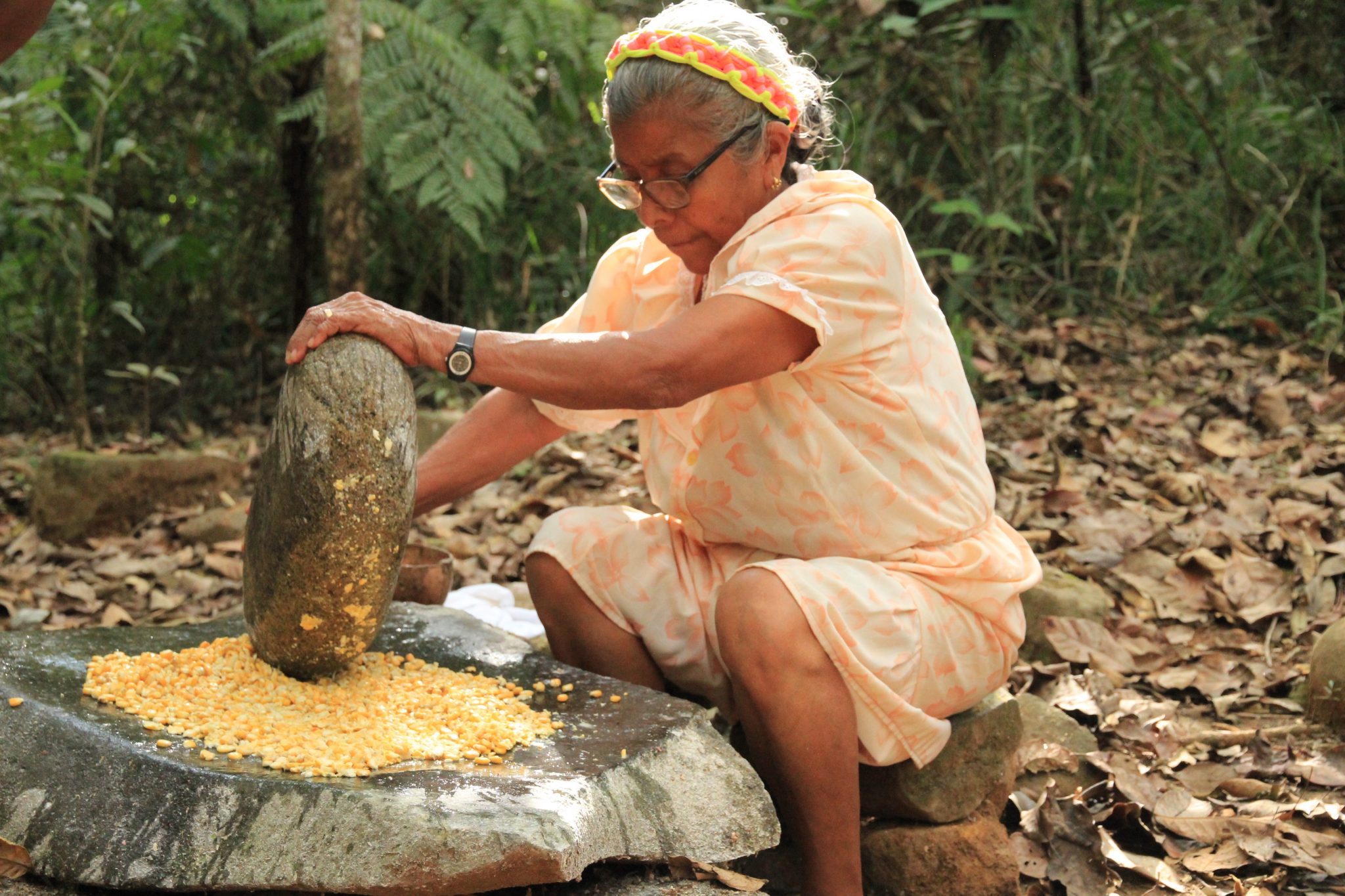 A photo of a Bribri elder grinding corn in the traditional fashion.