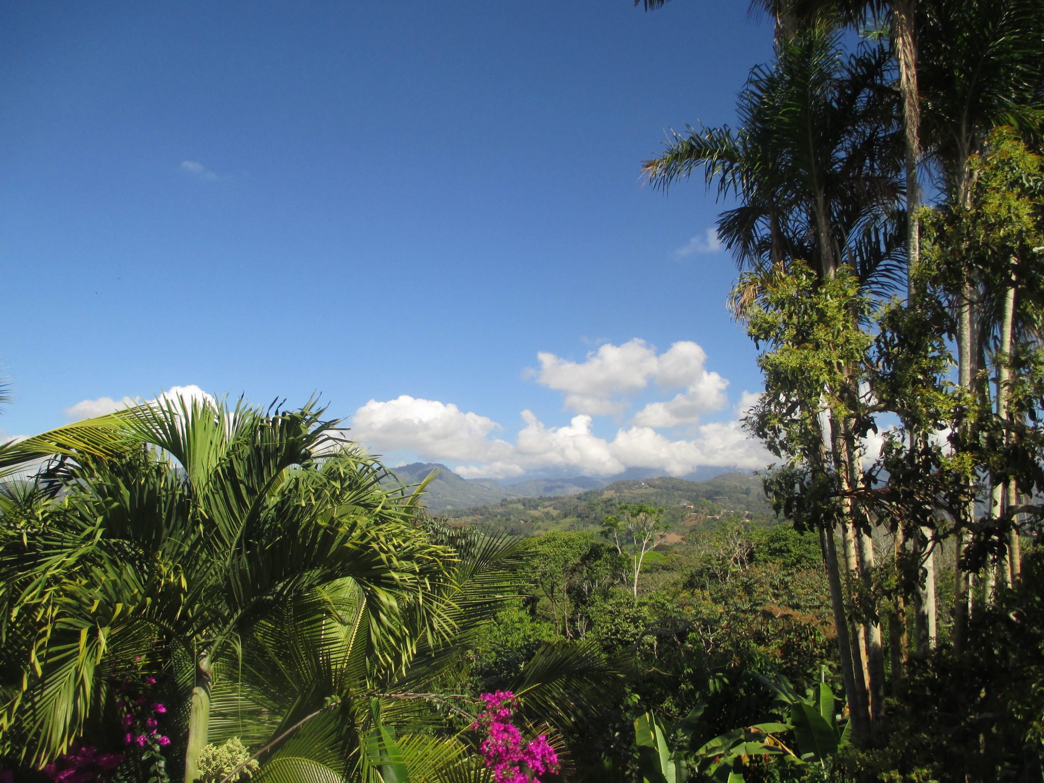 The view of the mountains from the school where the students study.