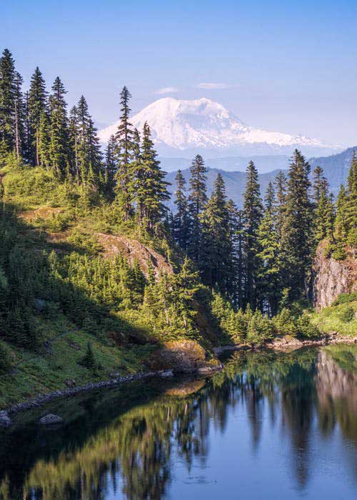 The snow-covered Mount Hood in the background of pine trees, a green hill, and a calm lake.